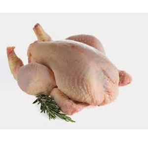 Daging Ayam Organik | Ain Food Industries